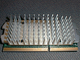 Celeron