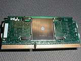 Celeron